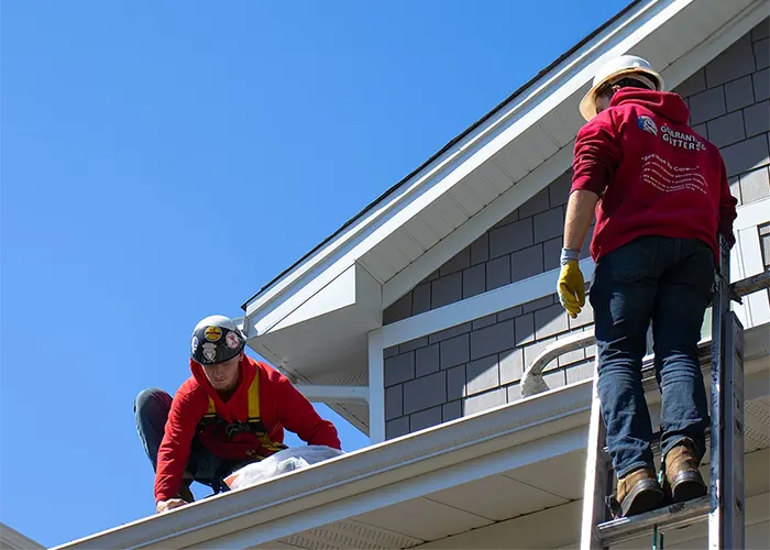 Gutter Cleaning
