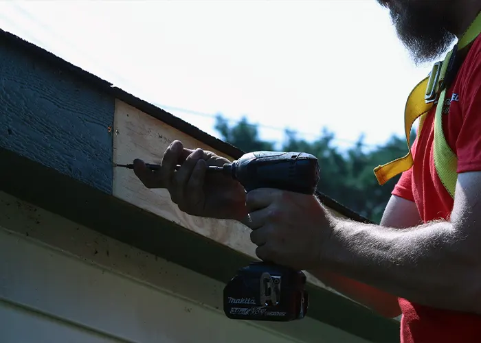 Shielding Your Home from Pests