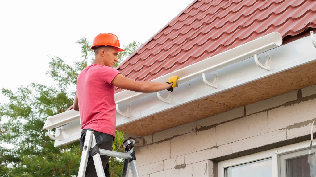 Gutter Cleaning