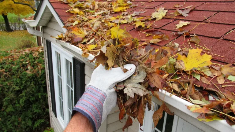 What Are The Benefits of Professional Gutter Cleaning in Chicago?