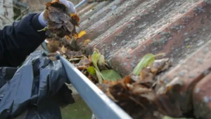 Professional Gutter Cleaning Services Chicago